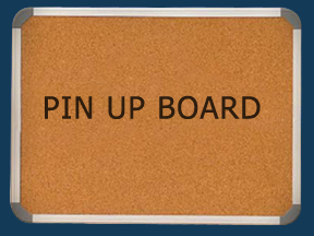 Pin Up Notice Board